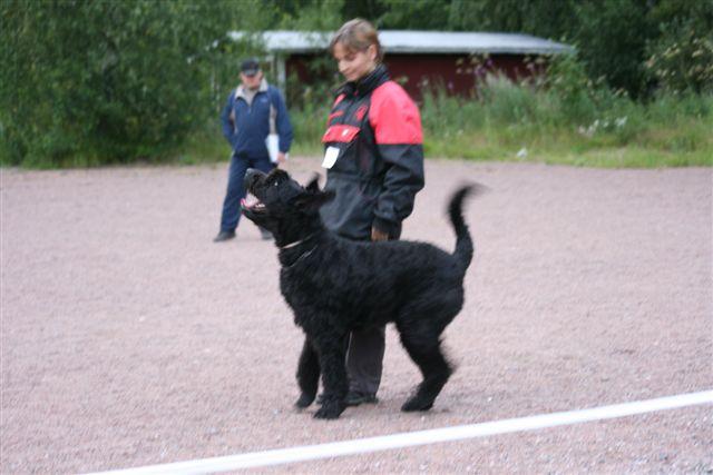 TOKO kerhomestaruus -08 (82).jpg